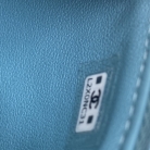 Trendy CC Top Handle Chanel