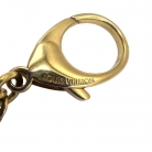 Charm Louis Vuitton