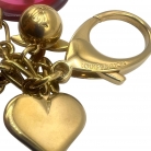 Charm Louis Vuitton