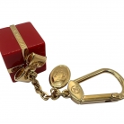 Charm Louis Vuitton