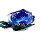 charm mini backpack Louis Vuitton