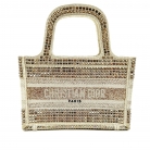 Christian Dior Book Tote Mini