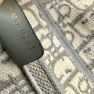Christian Dior Saddle