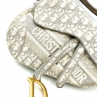 Christian Dior Saddle