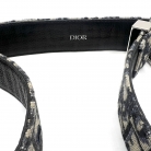Cinturón Dior Oblique