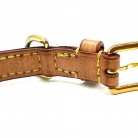 collar de perro Louis Vuitton