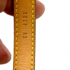 Louis Vuitton pet collar