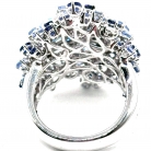 damiani