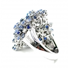 damiani
