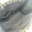 Dior Book Tote