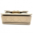 Dior Caro