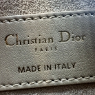 Dior Caro
