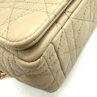 Dior Caro