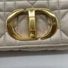 Dior Caro