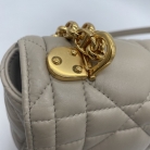 Dior Caro