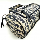 Dior Oblique Boston