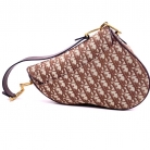 DIOR SADDLE