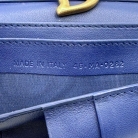 dior saddle
