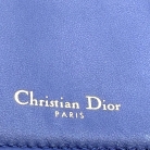 dior saddle