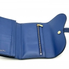 dior saddle