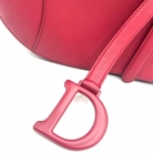 Dior Saddle