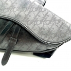 dior saddle