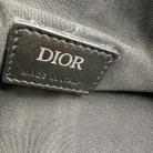 dior saddle