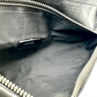 dior saddle