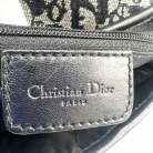 Dior Saddle