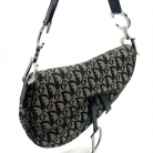 Dior Saddle