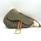 dior saddle