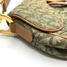 dior saddle