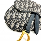 Dior Saddle