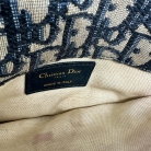 Dior Saddle