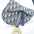 Dior Saddle