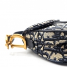 Dior Saddle