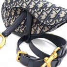 Dior Saddle