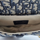 Dior Saddle