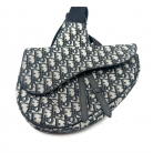 Dior Saddle Bag home Oblique