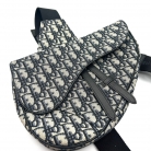 Dior Saddle Bag home Oblique