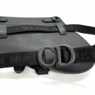 Dior Saddle Belt