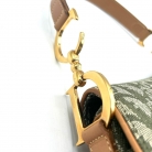 dior saddle green denim