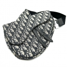 Dior Saddle Home