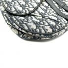 Dior Saddle Home