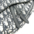 Dior Saddle Home