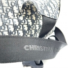 Dior Saddle Home