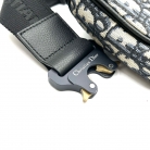 Dior Saddle Home