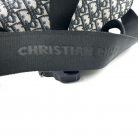 Dior Saddle Home