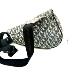dior saddle limited edition