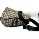 dior saddle limited edition